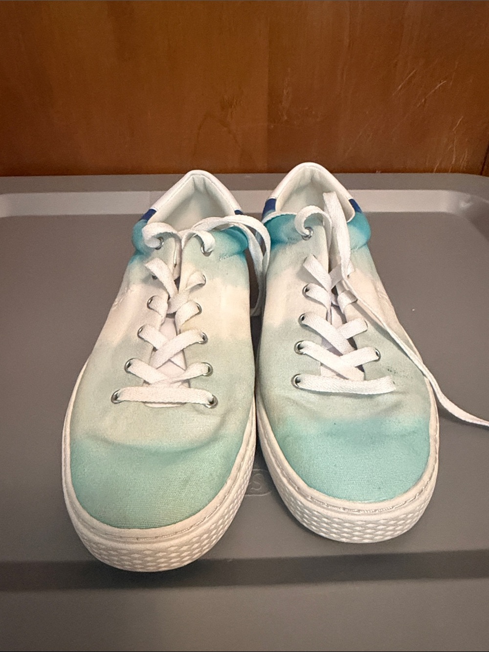 Polo by Ralph Lauren Aqua Gradient Low-Top Sneakers